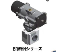 Japan KITZSCT vacuum flange thermal ball valve BRWHN