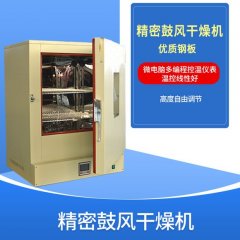 Precision Blast Constant Temperature Drying Oven
