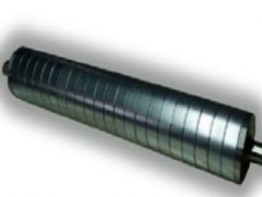 Magnetic roller 1
