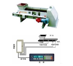 TDG Speed-Adjustable Quantitative Feeding Belt Scale
