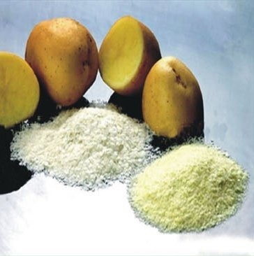 Potato Starch Dryer