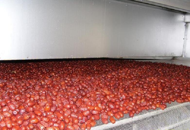 Red Belt Dryer for Red Dates