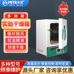 Constant Temperature Drying Oven