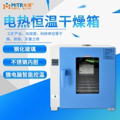 Electric Heating Constant Temperature Drying Oven