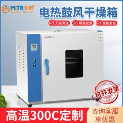 Electric Heating Blast Drying Oven