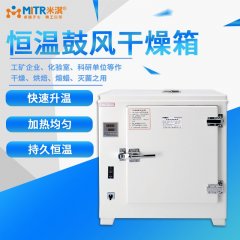 Electric Heating Constant Temperature Blast Drying Oven