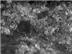 Hexagonal boron nitride nanosheets