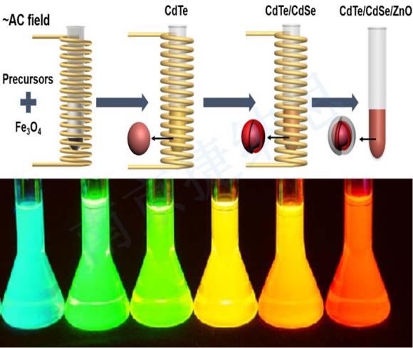 Oil-phase quantum dots
